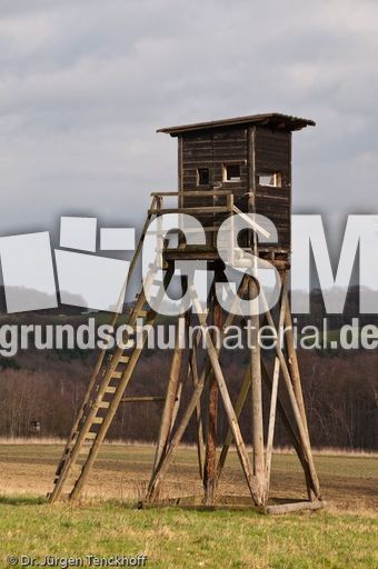 Hochstände (143 von 154).jpg